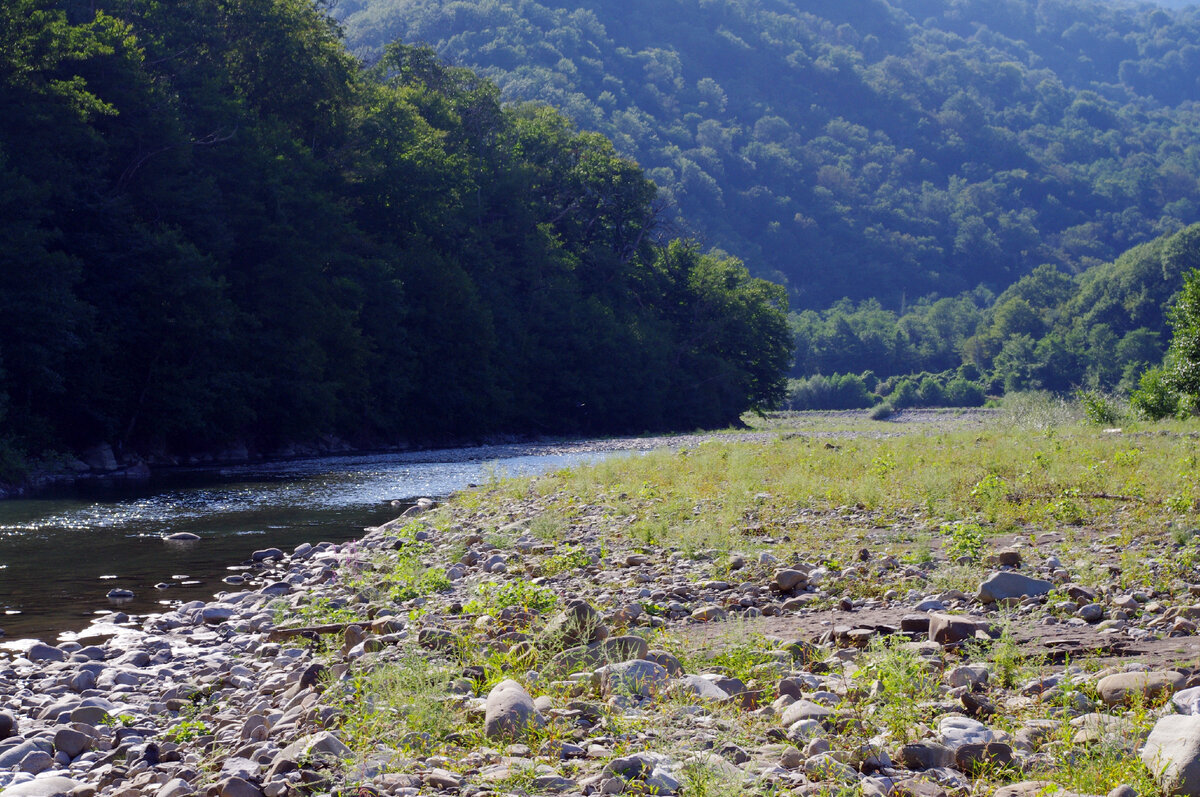 Река аше фото Красоты Краснодарского края. Сочи, Лазаревский район река Аше. Лето. "Лигушка" в