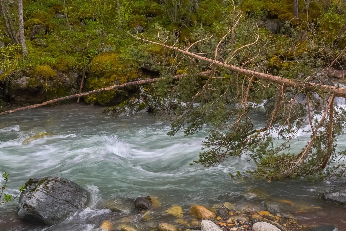 Река баксан фото Река Баксан (56 фото)