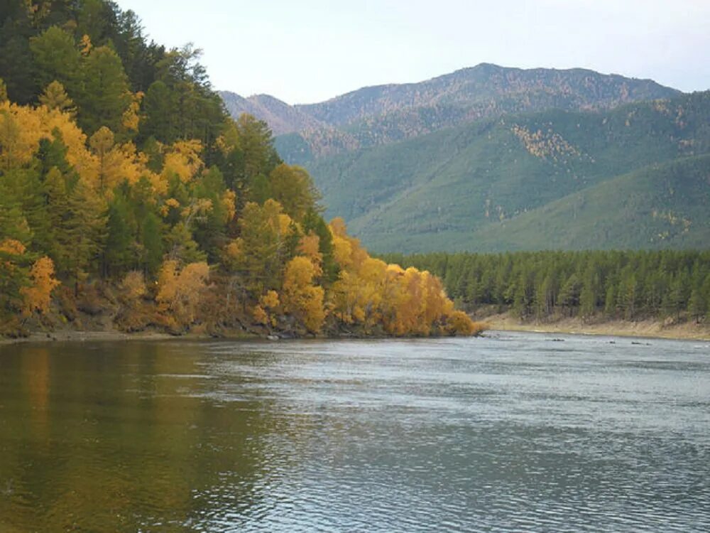 Река баргузин фото Река Баргузин - Фото № 244896