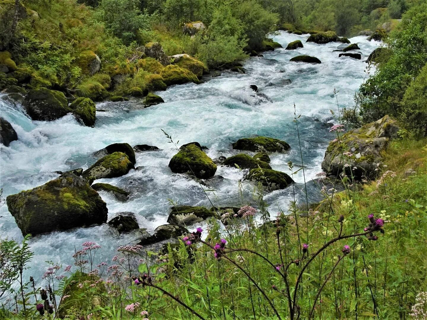 Река бавлинка фото Река решетка фото, видео - 38rosta.ru