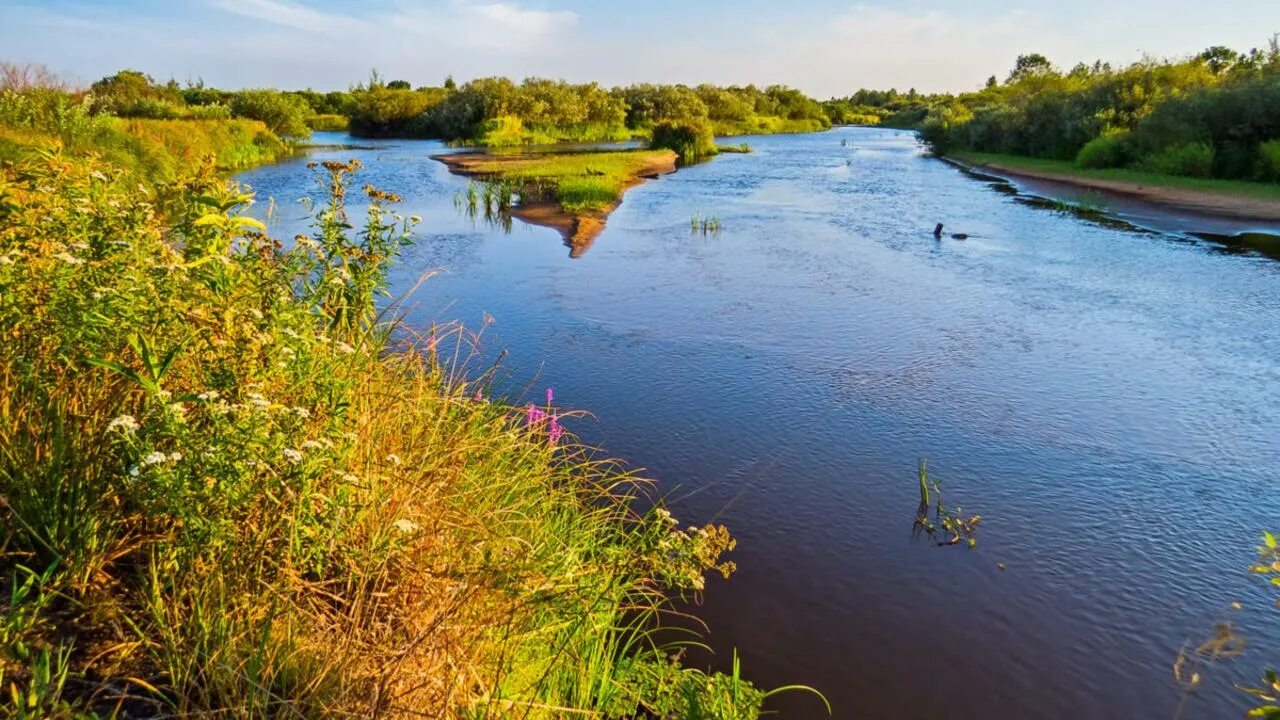 Река беларуси фото До +25 ° С, дожди и грозы - прогноз погоды по Беларуси на 3 дня