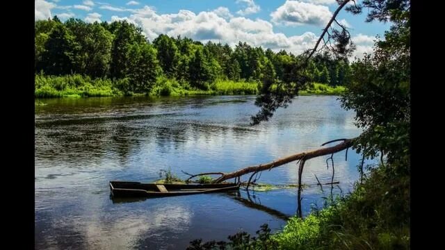 Березина - река, которая вошла в историю под названием "чёрная смерть" Природа н