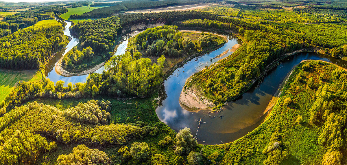 Река беларуси фото Таймлапс осаждения активного ила IVEA-water Дзен