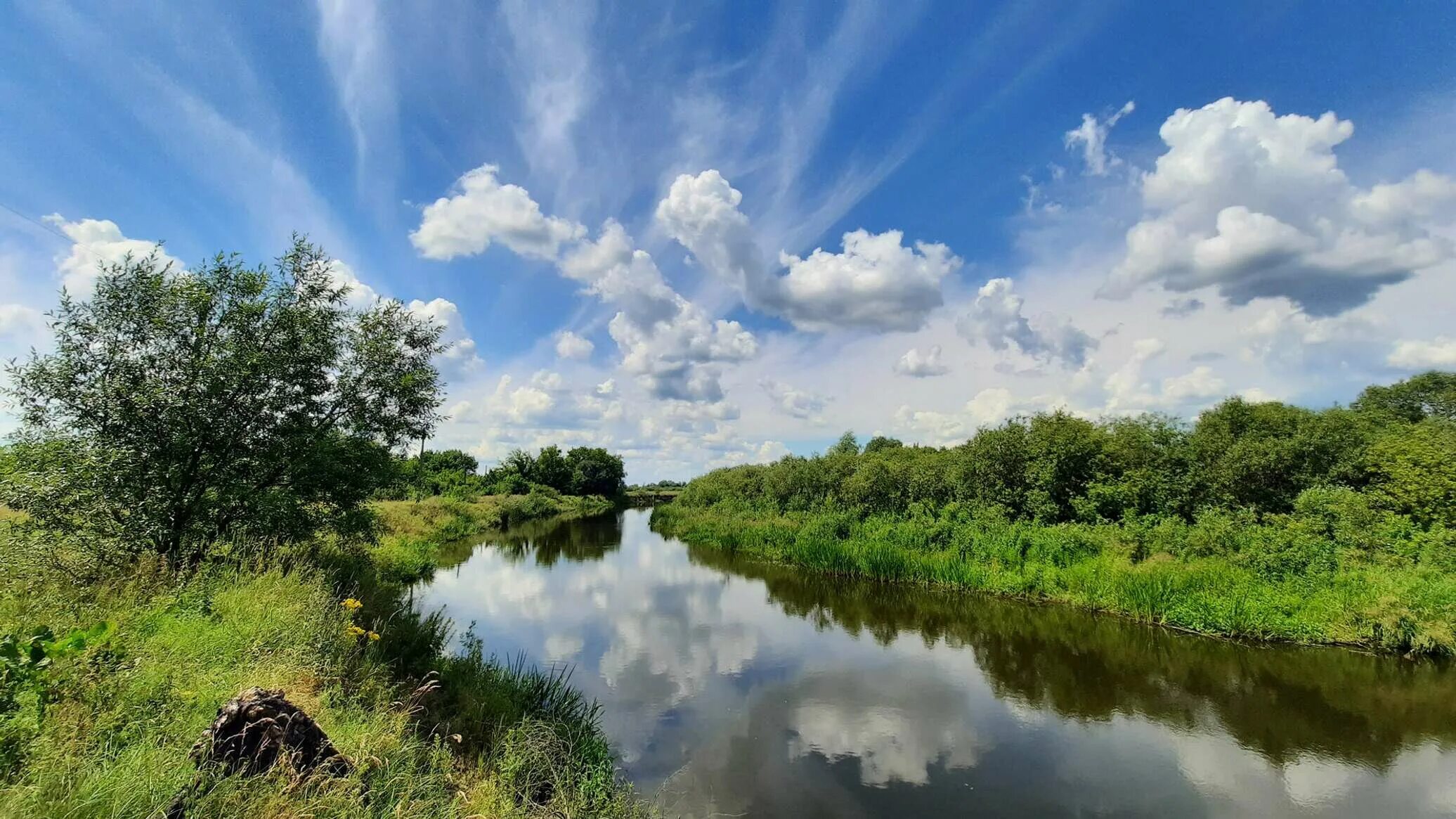 Река беларуси фото Синоптики бьют тревогу: уровень воды сильно упадет в Березине - 15.07.2021, Sput