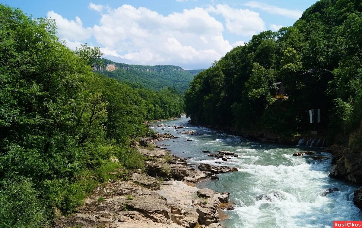 Река белая краснодарский край фото Фото: Река Белая. Фотолюбитель oNaTaSama@. Природа - Фотосайт Расфокус.ру