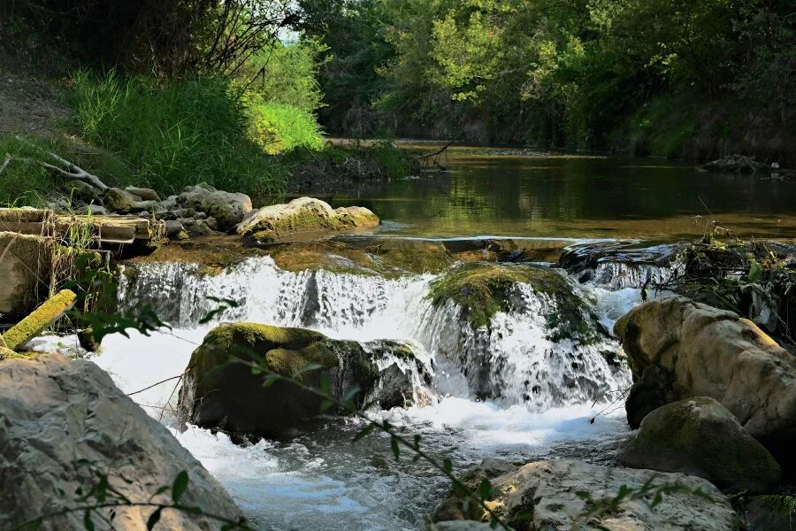 Река бельбек фото Официальный портал Правительства Севастополя