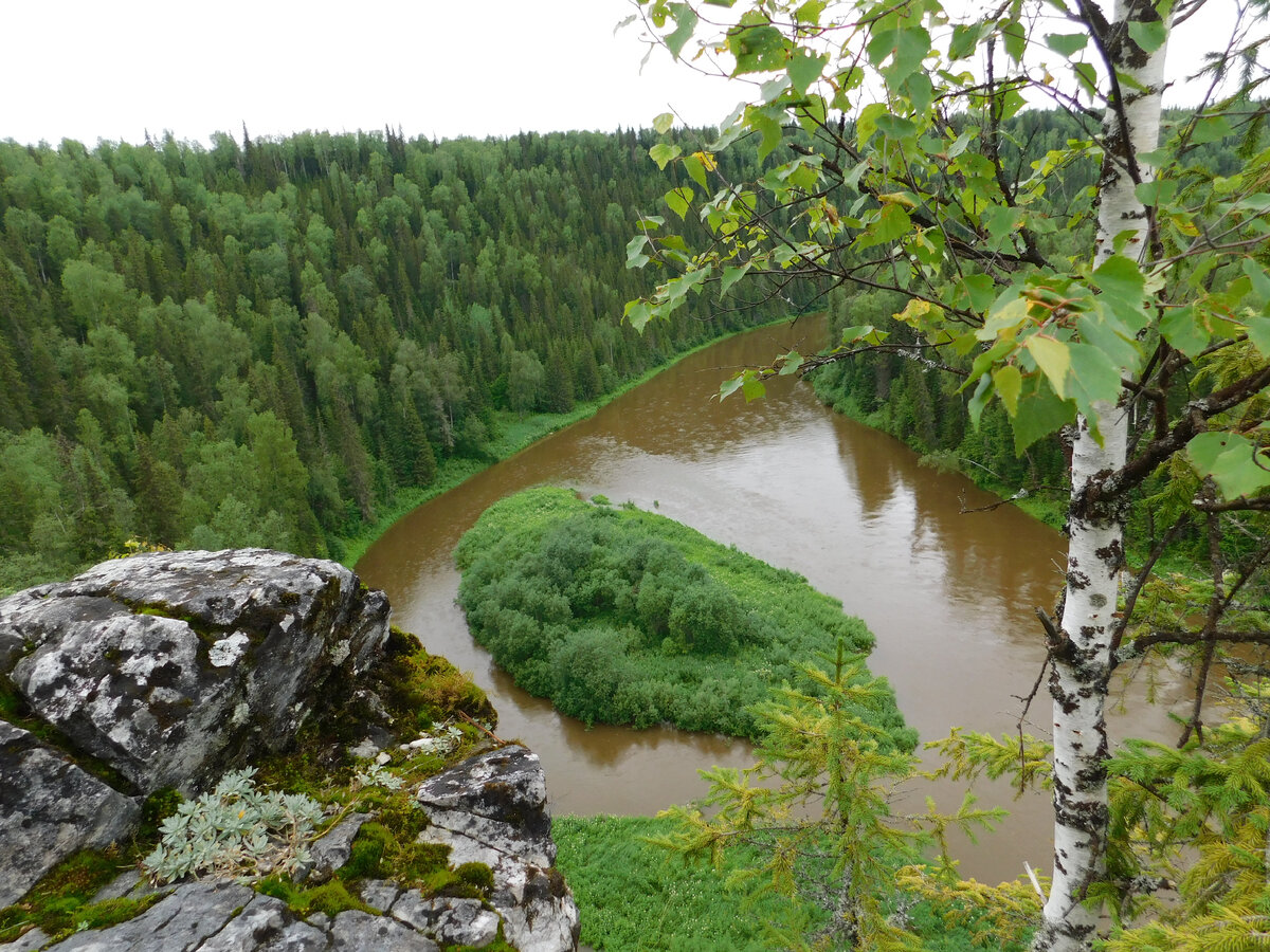 Река березовая фото Пермский край. Река Берёзовая. Елена Гусева Дзен