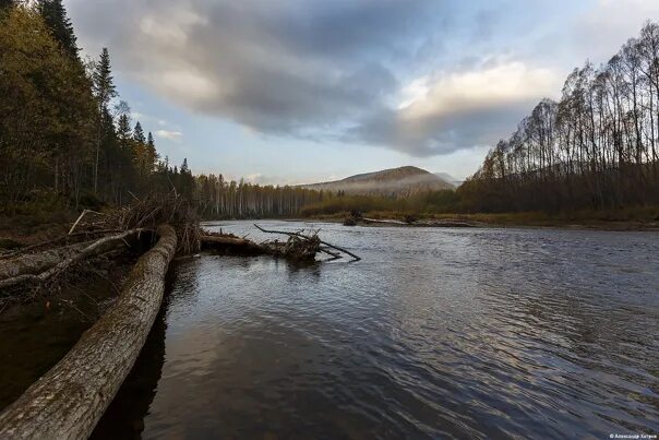 Река бикин фото Бикин - русская Амазонка - Фотография 9 из 24 ВКонтакте