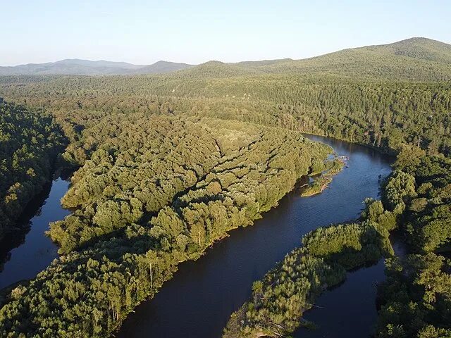 Река бикин фото File:Bikin river.jpg - Wikimedia Commons