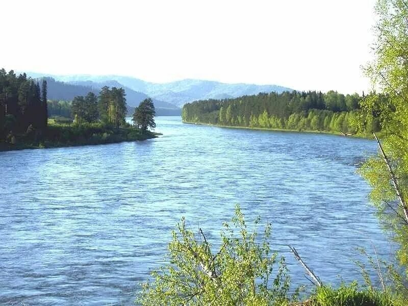 Река бия фото Усадьба Старый замок - Турочак, Горный Алтай (Республика Алтай), фото усадьбы, ц