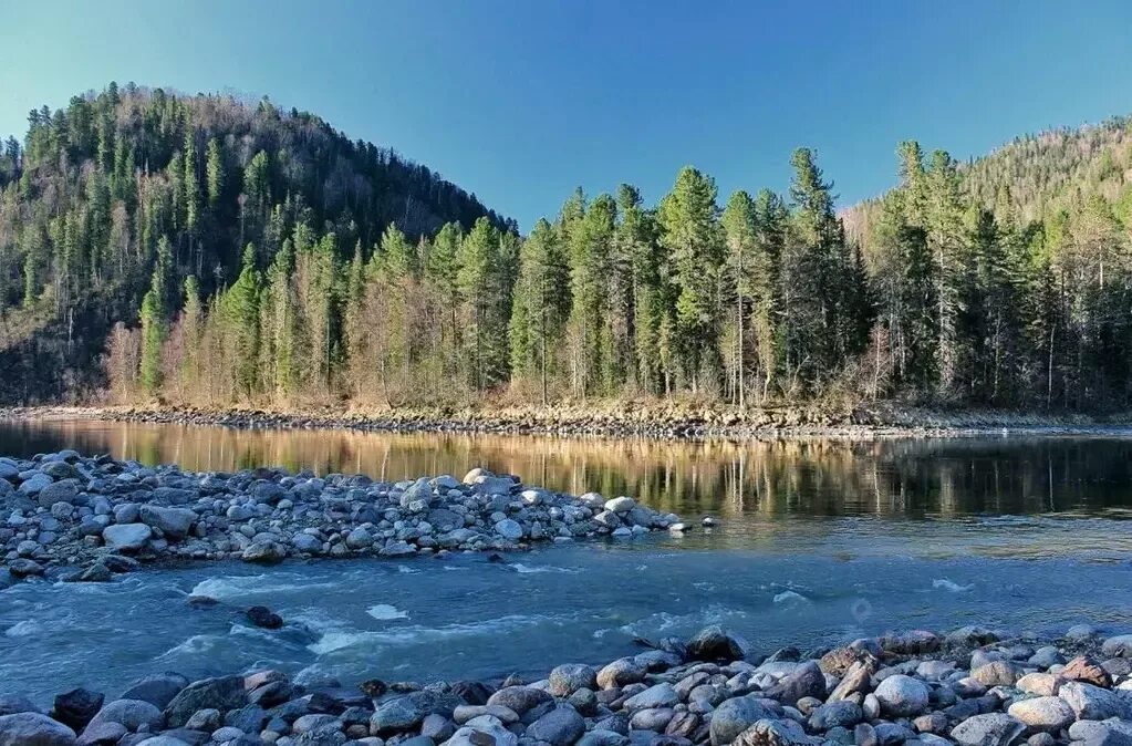 Река бия фото Участок в Алтай, Турочакский район, с. Турочак ул. Восточная (21.0 ..., Купить з