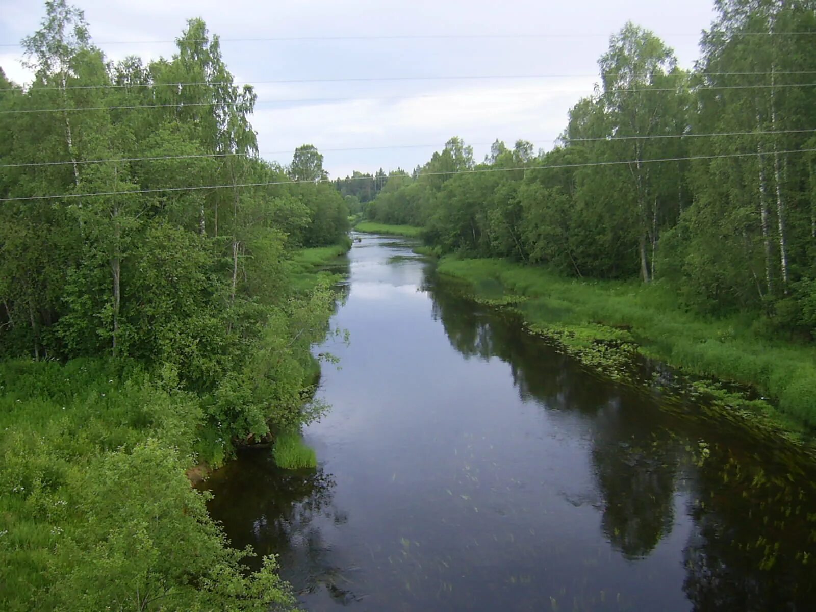 Река большая черная фото File:Река Большая Коша (The Big Kosha river) - panoramio.jpg - Wikimedia Commons