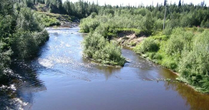 Река большая черная фото Речка "Чёрная".Республика Коми. - Картинки и фото рыбаков