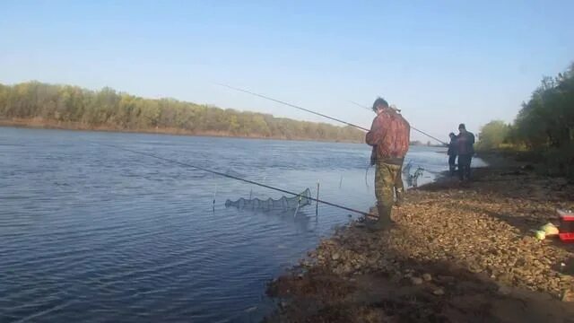 Река бузан астраханской области рыбалка фото Ловля воблы в Астрахане на реке Бузан 2 мая 2015 - смотреть видео онлайн от "Рыб