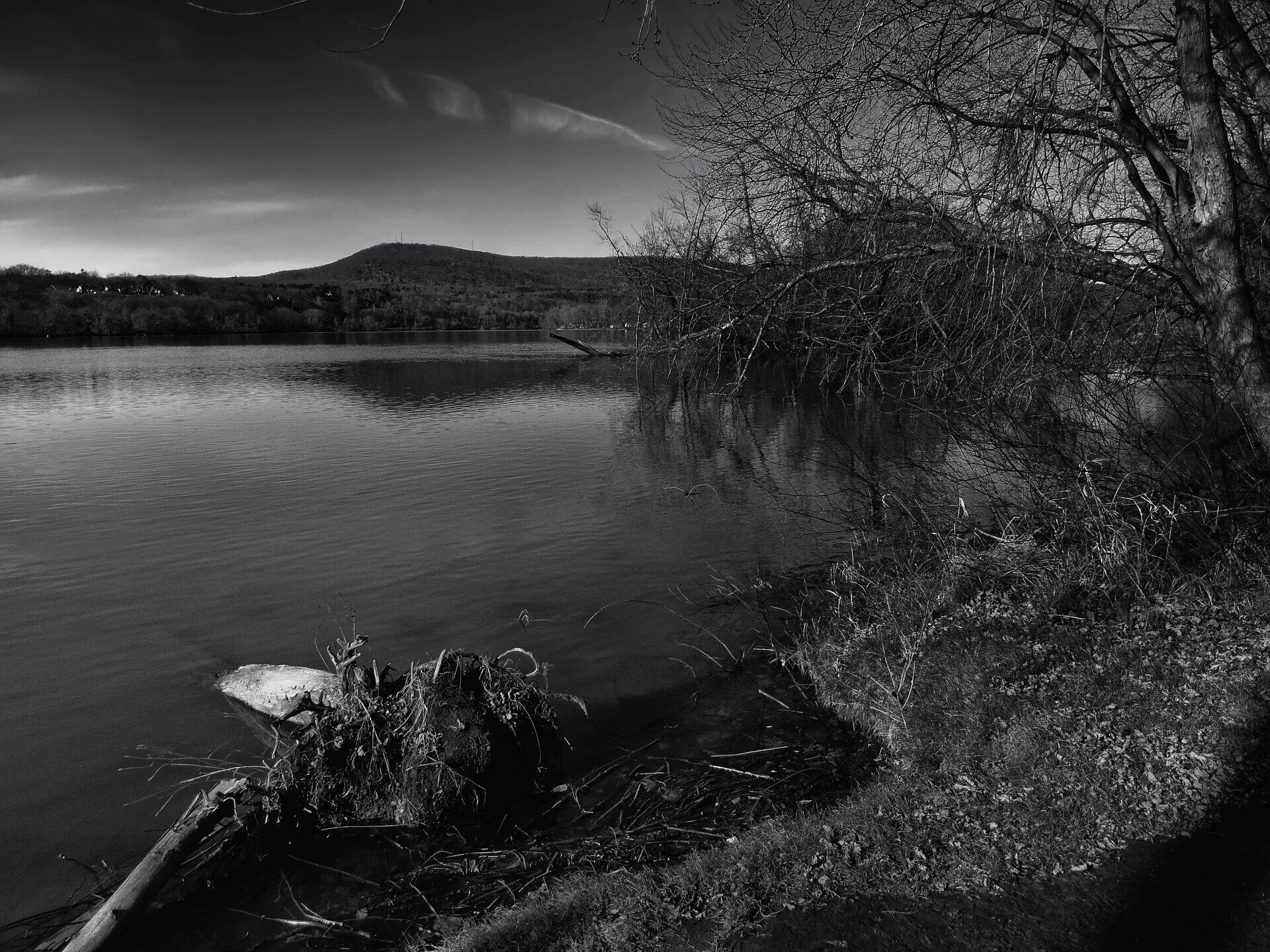 Река черно белое фото Aquatic weed among 'world's worst' expands in northeastern US