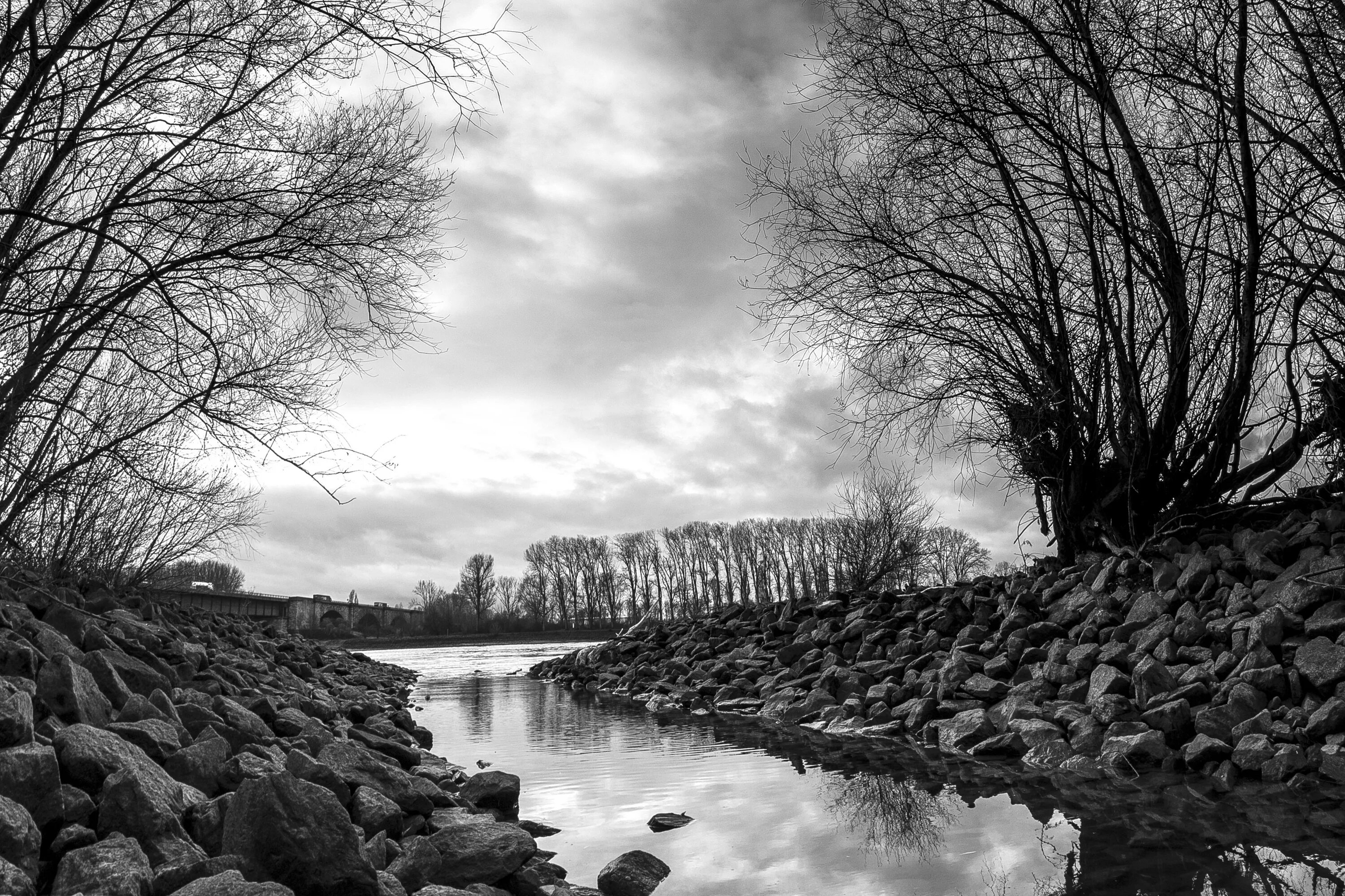 Река черно белое фото Free Images : landscape, tree, water, nature, rock, snow, winter, black and whit