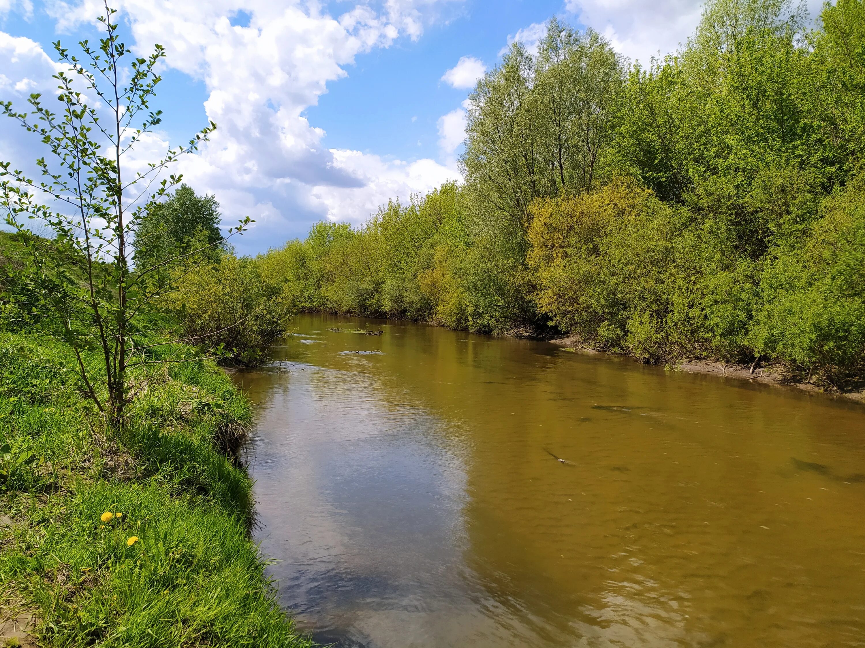 Река чукша фото Файл:Bula river batyr.jpg - Википедия