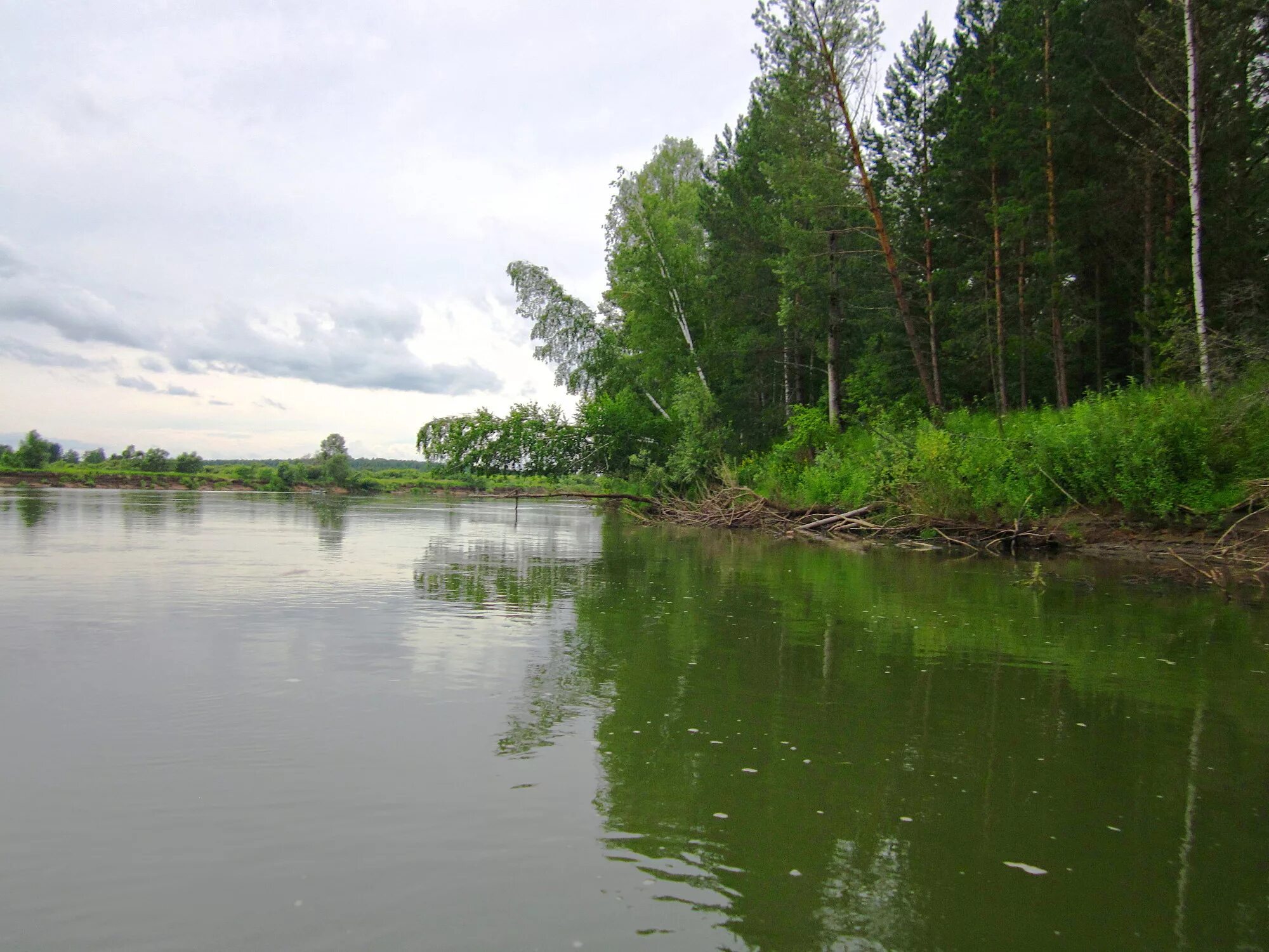 Река чулым фото Картинки ЧУЛЫМ РЕКА ВОДА