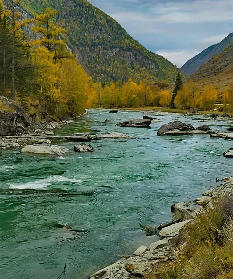 Река чуя фото Река чуя горный алтай фото - Бека Тур