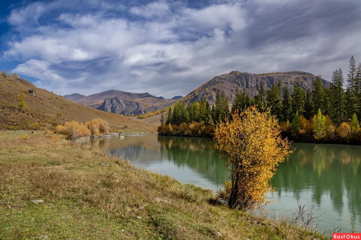 Река чуя фото Фото: Чуя-река. Пейзажный фотограф Виктор Четошников. Пейзаж. Фотосайт Расфокус.