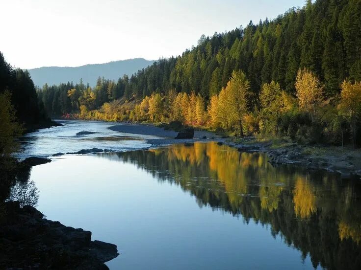 Река д фото The middle fork of the Flathead River in Glacier Glacier national park montana, 