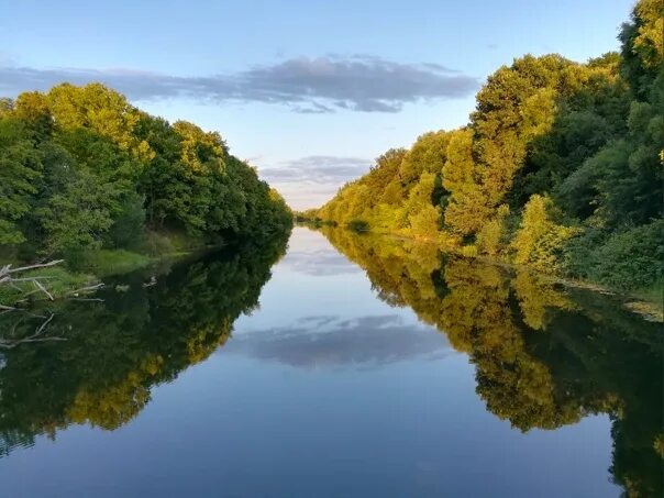 Река десна брянск фото Russia, Bryansk region, Desna River 2022 ФотоПутешествия Архитектура Музеи Приро