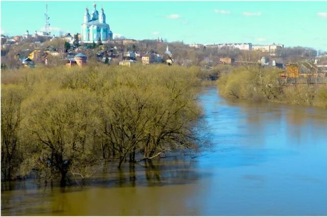 Река днепр в смоленске фото Смоленскэнерго реализовало комплекс мероприятий перед паводками АиФ Смоленск