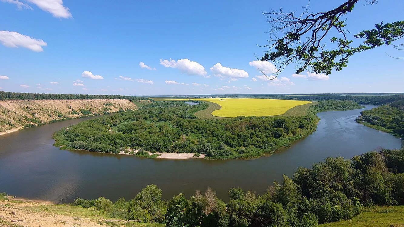 Река дон фото Картинки PROJECT RIVER