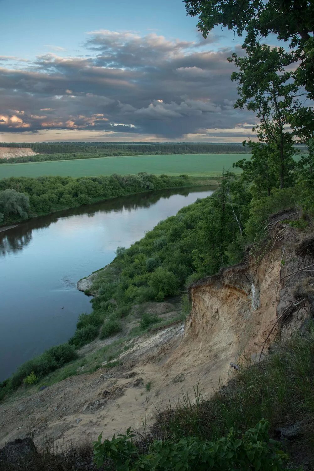 Река дон фото ростовская область Вечер на реке Дон - Фото № 248514