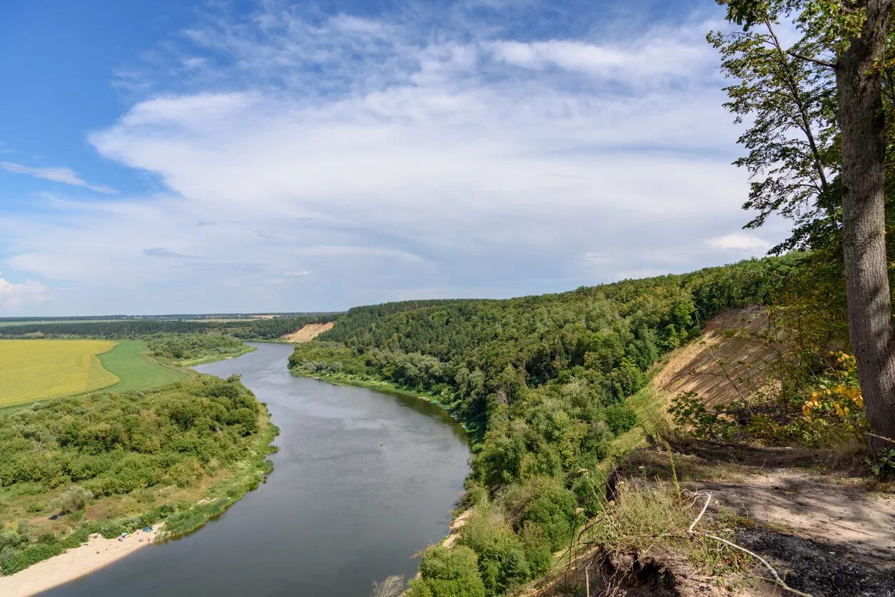 Река дон фото ростовская область В обмелевший Дон возвращается вода - Российская газета