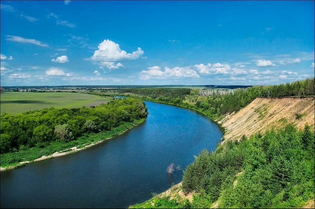 Река дон красивое фото Экологический час "Чудесный мир воды" 2017, Рамонский район - дата и место прове