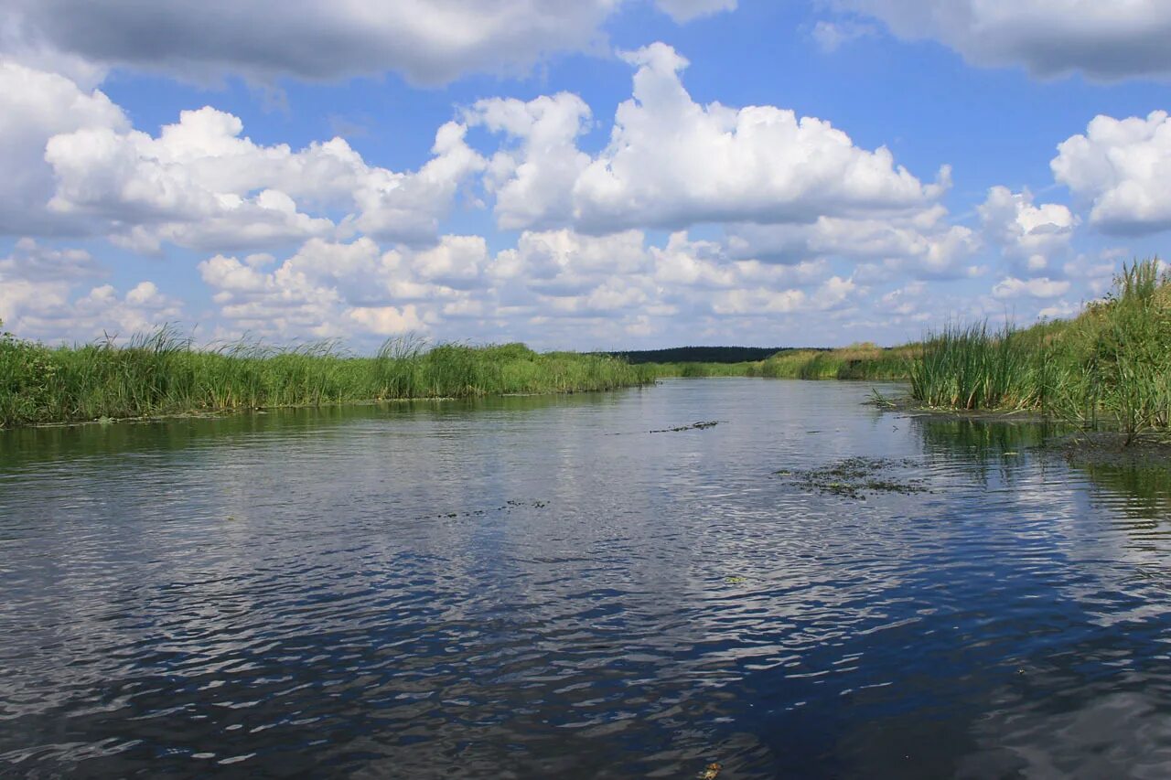 Река ея фото Помощь жене в подготовке к зиме: консервирование щуки в томатном соусе в автокла