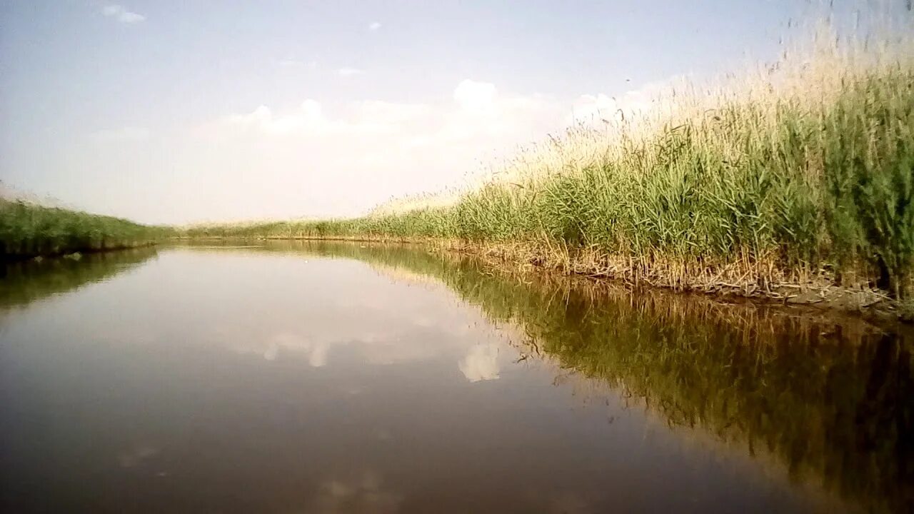 Река ея фото 5.07.2020 Река ЕЯ СТАРОЩЕРБИНОВСКАЯ - YouTube