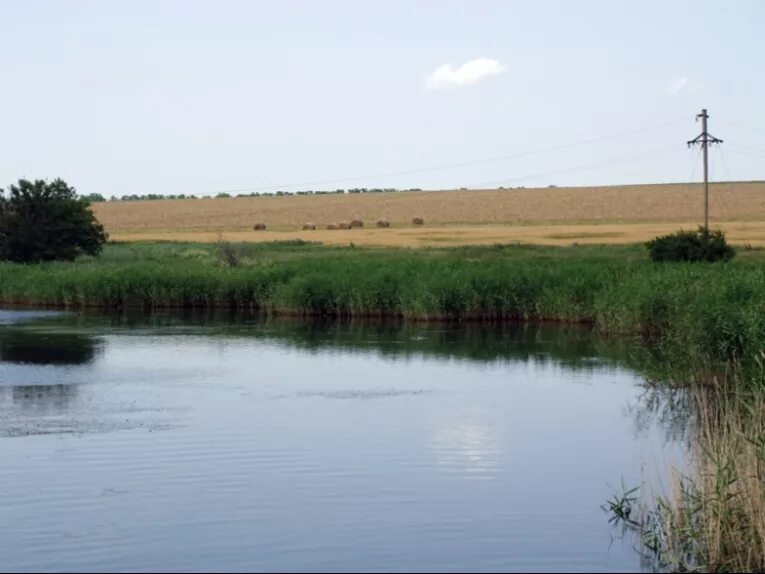 Река ея фото В Краснодарском крае завершаются четырехлетние работы по очистке реки Ея ОТР