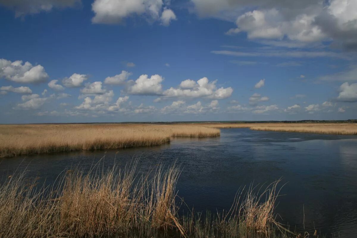 Река ея фото Картинки ПРОТЯЖЕННОСТЬ РЕКИ ЕЯ