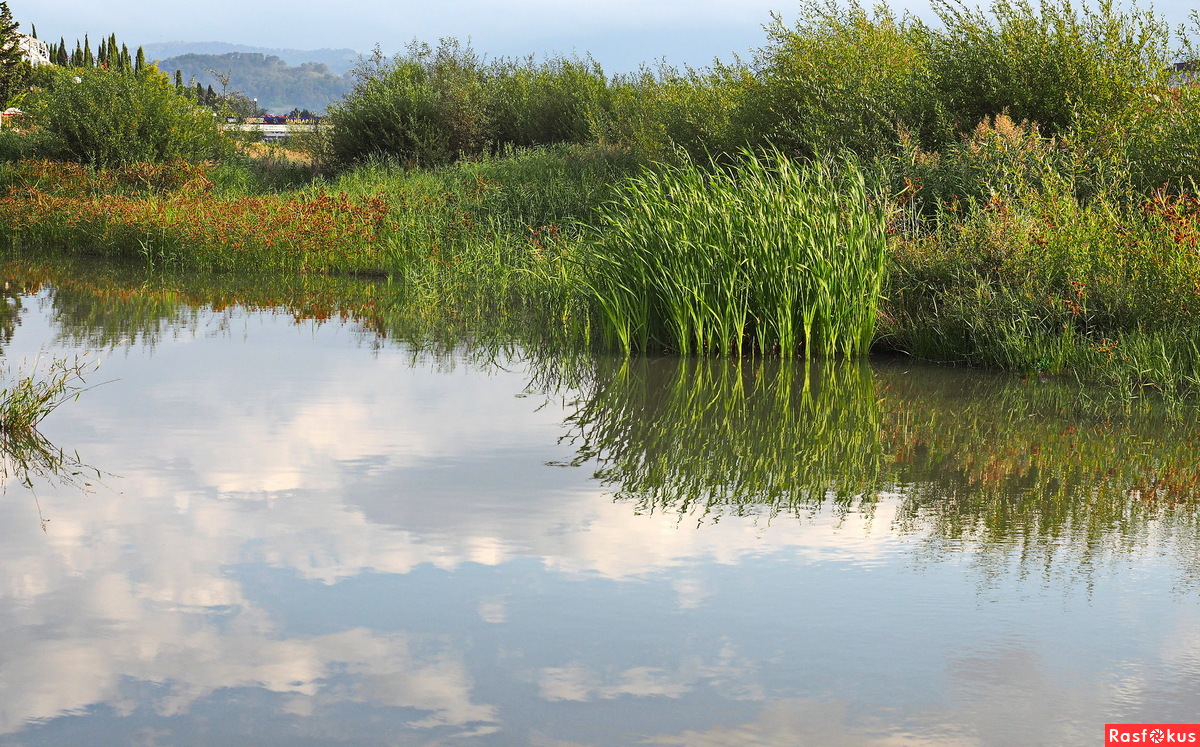 Река ея фото Фото: Мзымта. Фотограф-любитель Валентина Радзиевская. Пейзаж - Фотосайт Расфоку