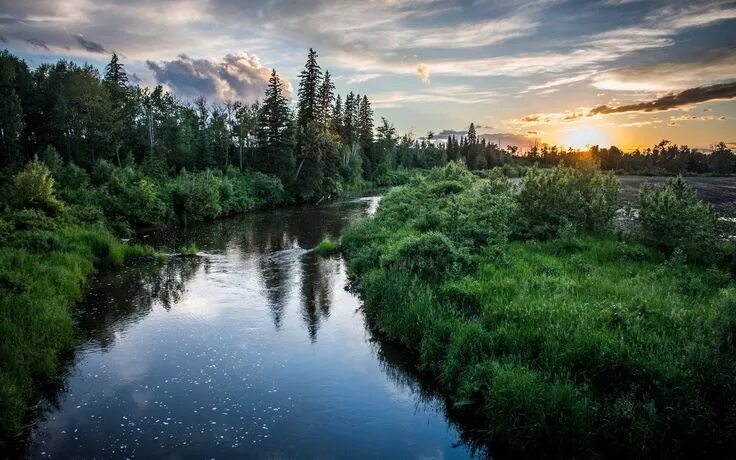 Река фото хорошем качестве beautiful picture of nature (1920x1200) River, Nature images, Nature destination