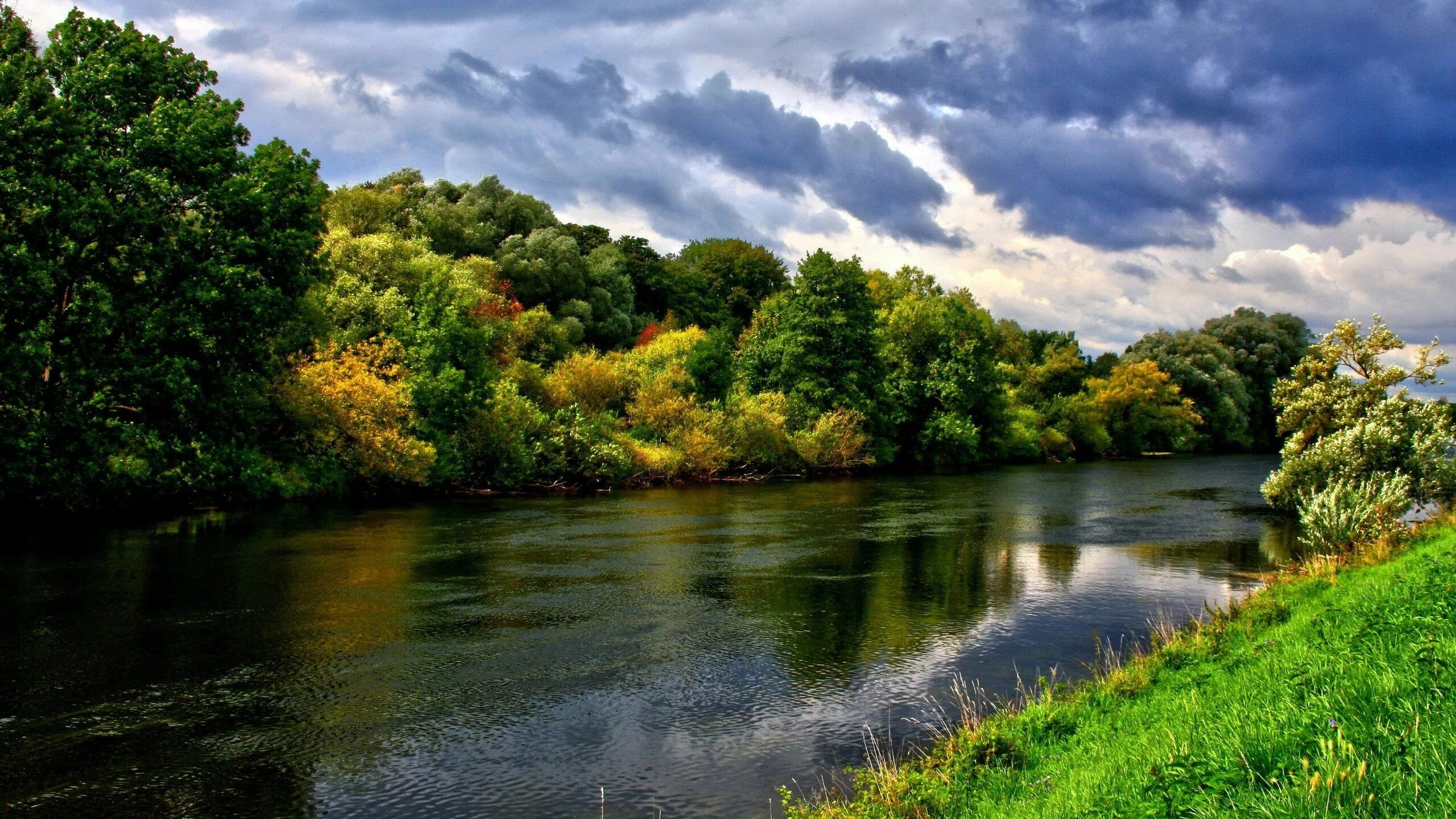 Река фото хорошем качестве Body of water and green-leafed trees wallpaper, river, forest, nature, landscape