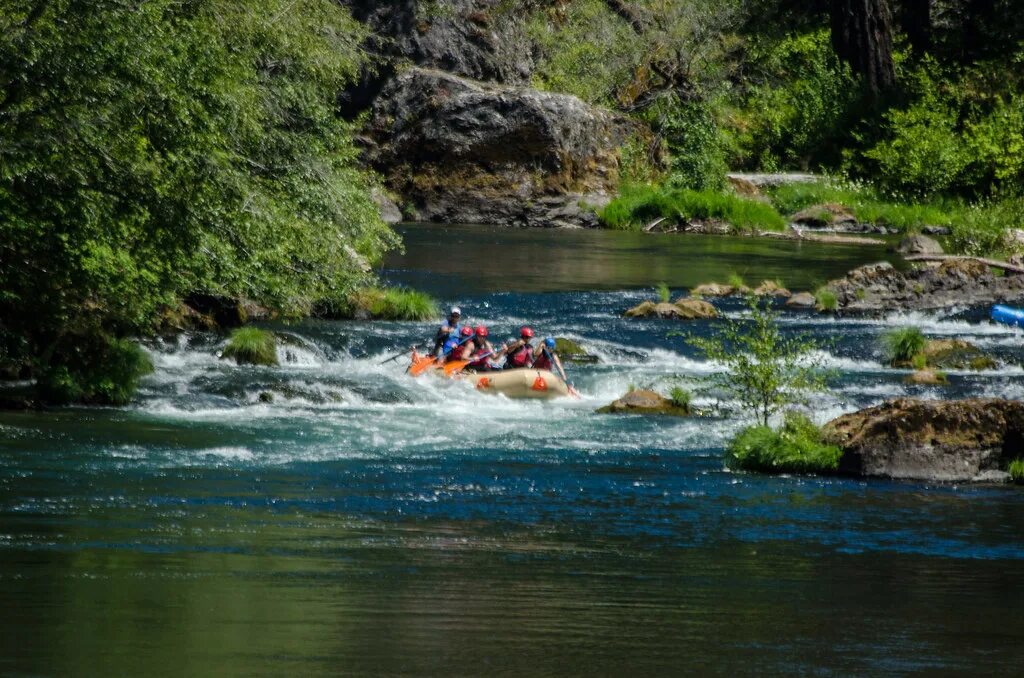 Река фото отдых River recreation on the "Wild and Scenic" north Umpqua Riv. Flickr