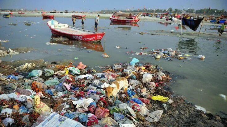 Река ганг самая грязная фото Sacred River Resembles a Sewer (PHOTOS) Weather.com Ganges, River, Challenges