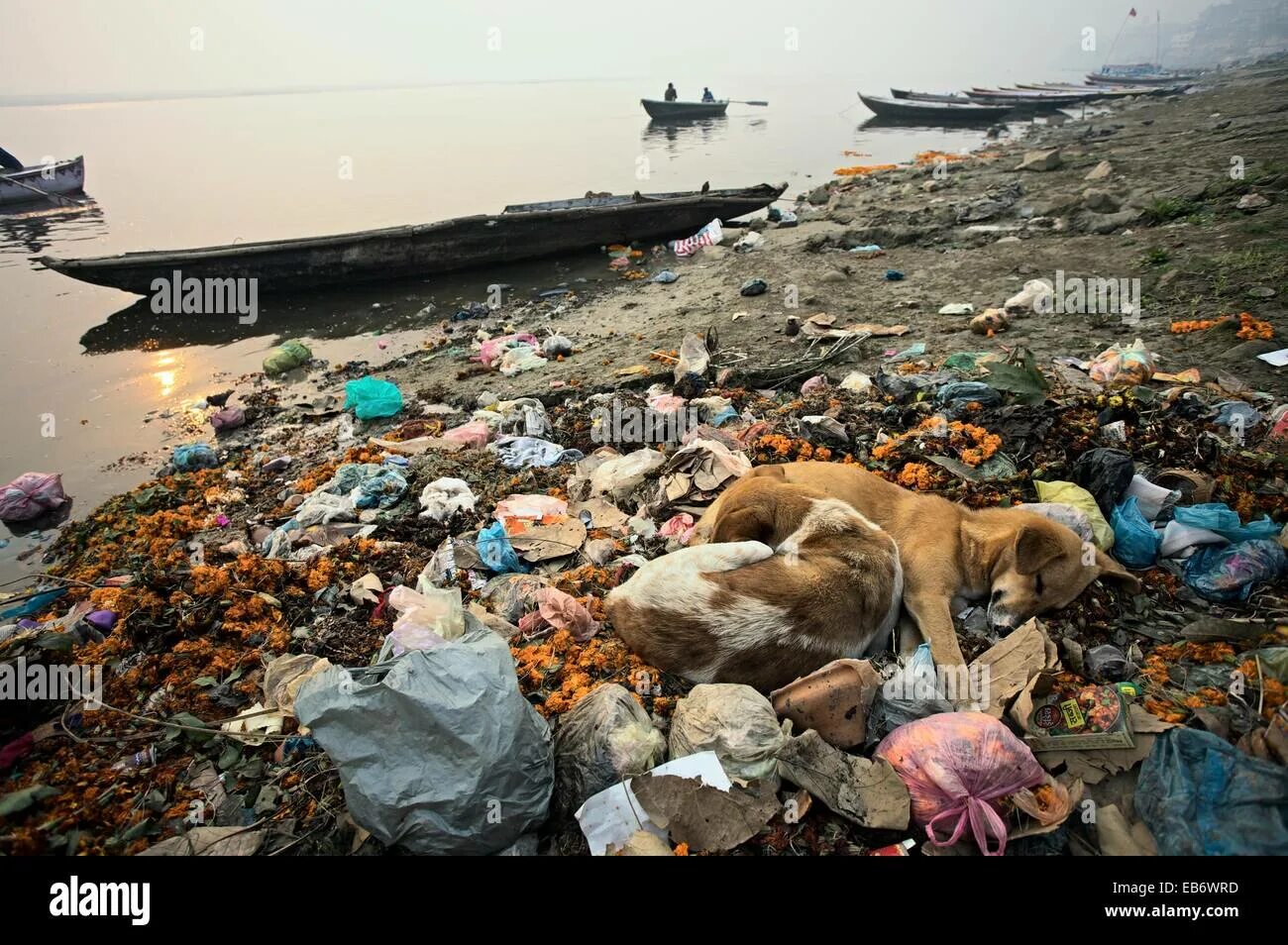 Река ганг самая грязная фото Pollution on the ghats Varanasi, India, Ganges River Stock Photo - Alamy