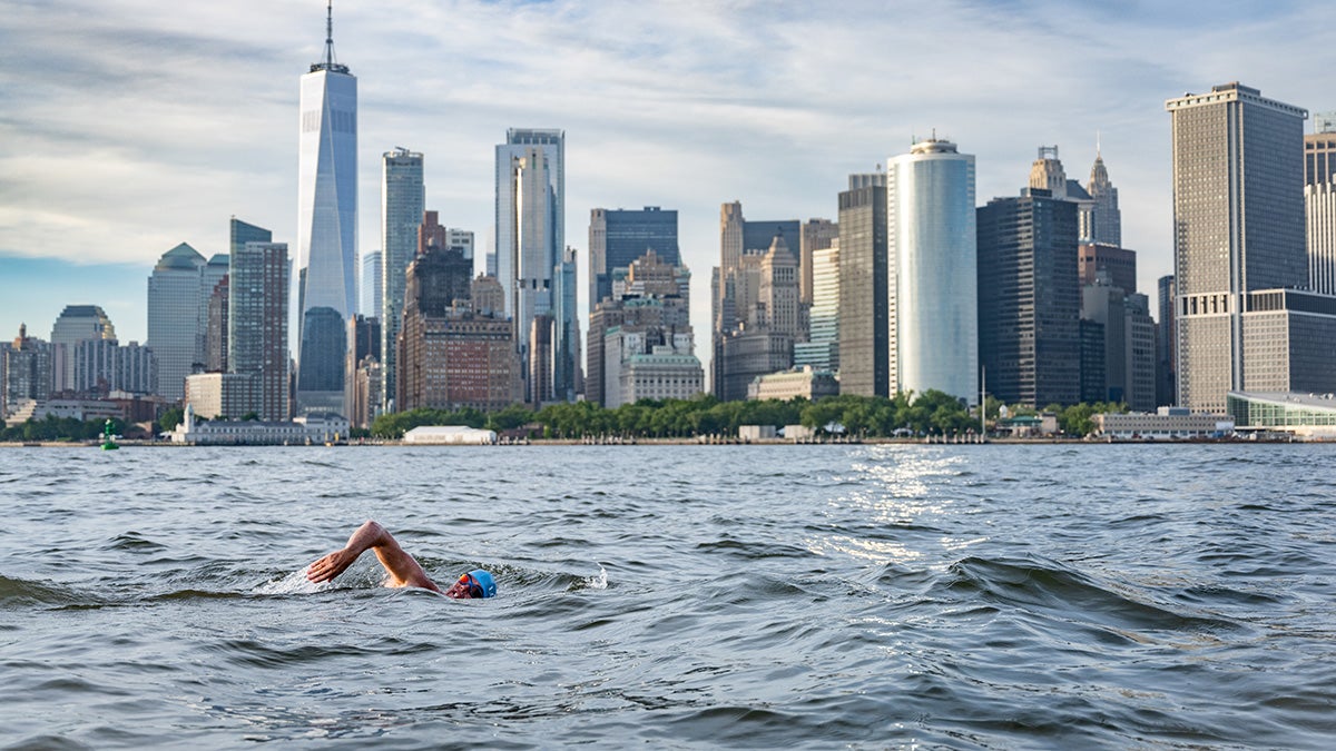 Река гудзон фото UN Patron of the Oceans Lewis Pugh announces first unassisted Hudson River swim 