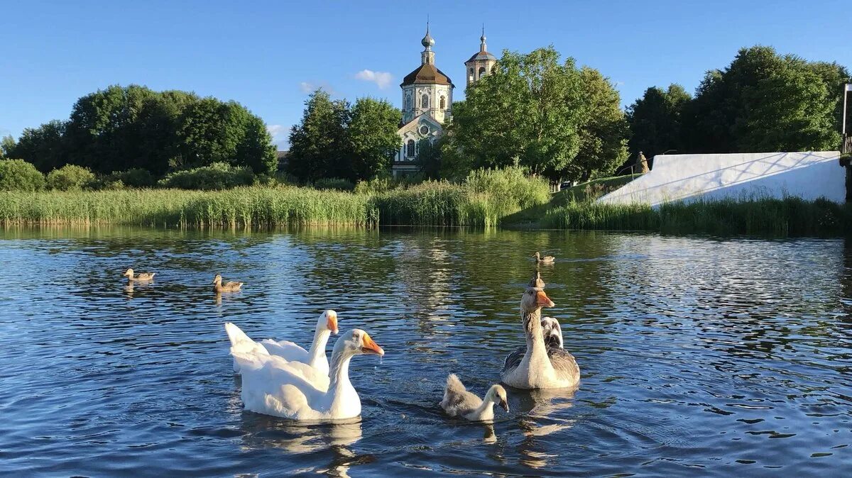 Река гусь фото 15 фактов о городе Тверской области, который решил поддержать президент ТОП Твер