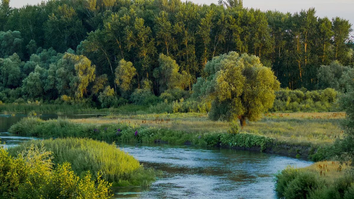 Река ик фото Река Ик :: Георгий Морозов - Социальная сеть ФотоКто