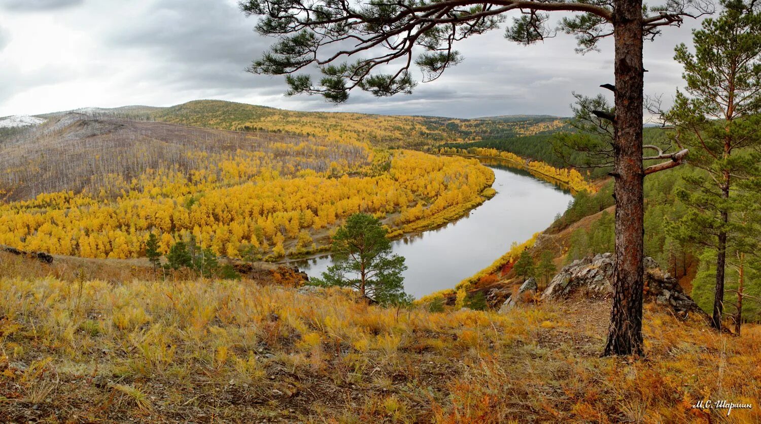 Река ингода фото На склонах Ингоды. Максим Шаршин Клуб Foto.ru