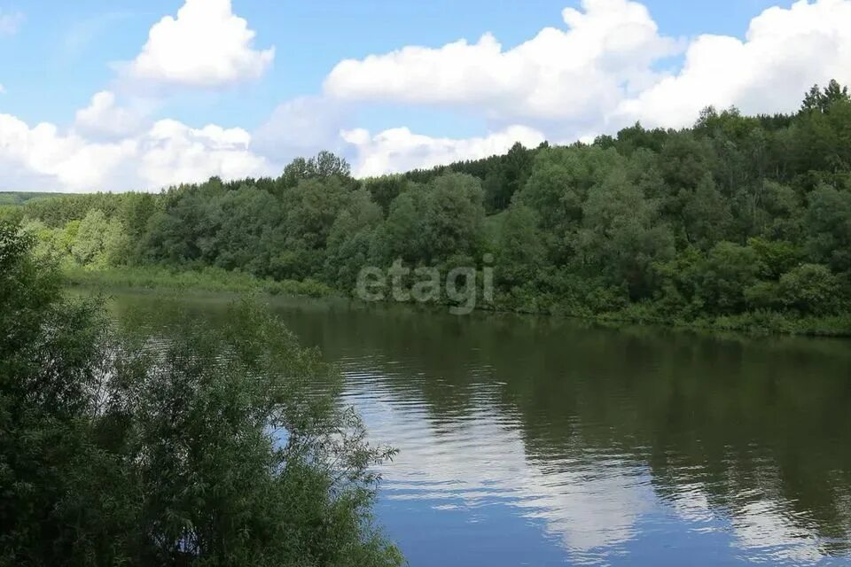 Река иня фото Купить дачу в лесу на Степной улице (село Боровое) - предложения о продаже дач в