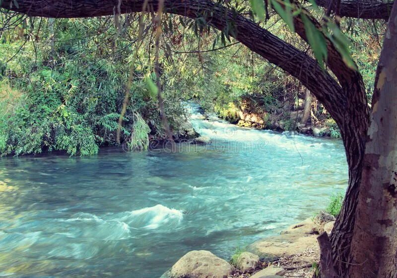 Река иордан фото Jordan River (Vintage Processed). Jordan River - Jordan River at the Hazbani, on