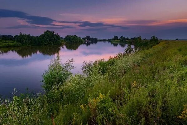 Река ишим фото I love the beauty of Russian rivers. Their strength is great. The sun is burning