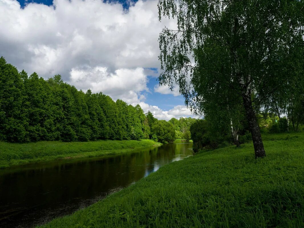 Река истра фото река Истра :: Андрей Батранин - Социальная сеть ФотоКто