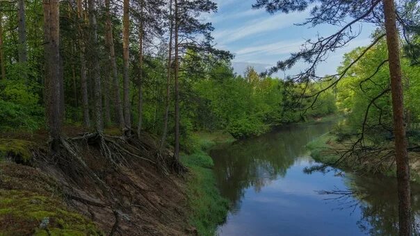 Река калуга фото Фотографии на стене сообщества - 80 фотографий ВКонтакте